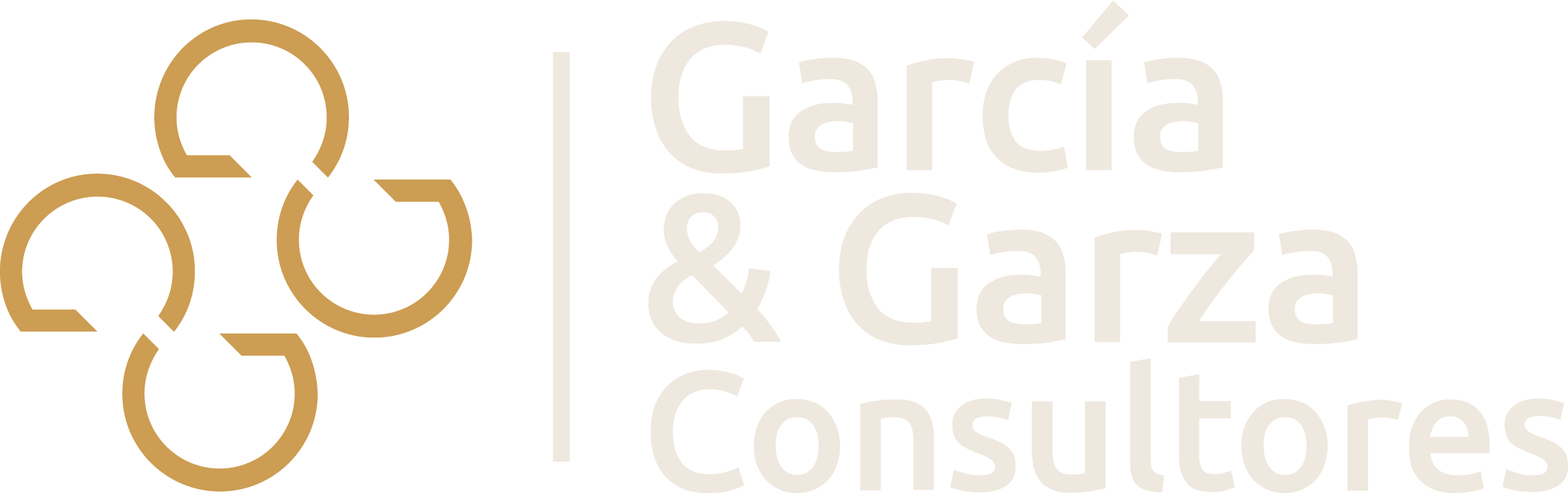 García y Garza Consultores